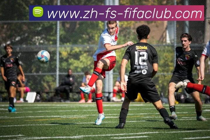 App Interface Preview